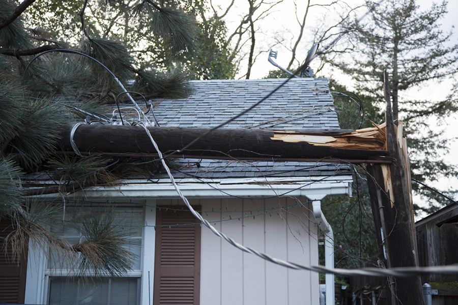 fallen tree on roof