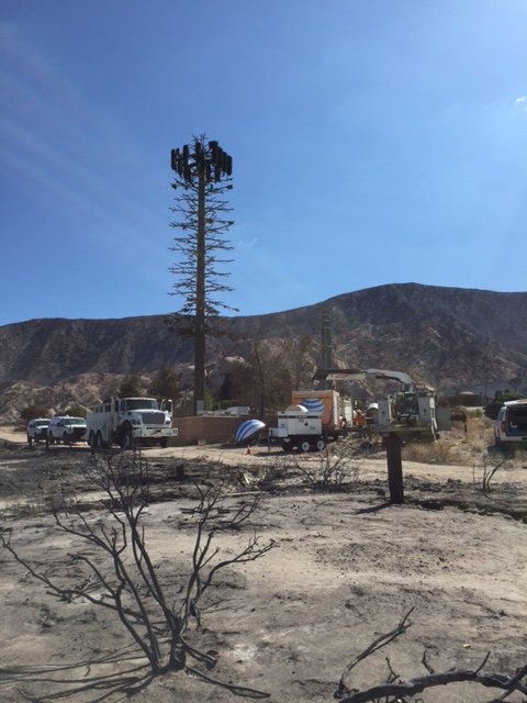 vehicles setting up satellite tree