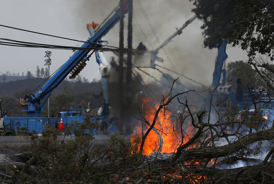 tree branches on fire